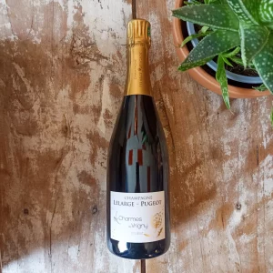 Champagne Lelarge-Pugeot Les Charmes de Vrigny Extra-Brut disponible chez Gare à la Cave à Bailleul, près de Lille 59