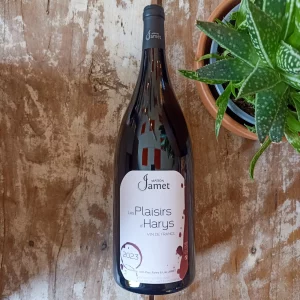 Les Plaisirs d'Harys Vin de France rouge Domaine Jamet disponible chez Gare à la Cave à Bailleul 59 près de Lille