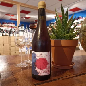 La Vinhota Vin de France rouge Domaine Balansa Languedoc vendu par Gare à la Cave Bailleul