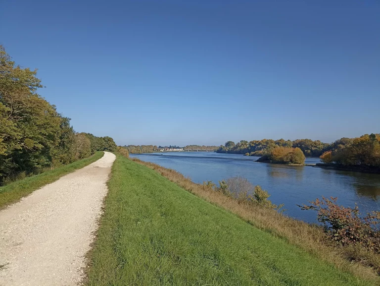 Vallée de la Loire à Châteauneuf-sur Loire (Loiret)