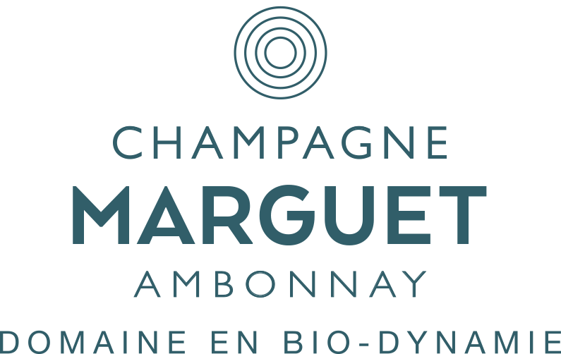 Champagne Marguet disponible chez Gare à la Cave Bailleul 59 Hauts de France (Lille)