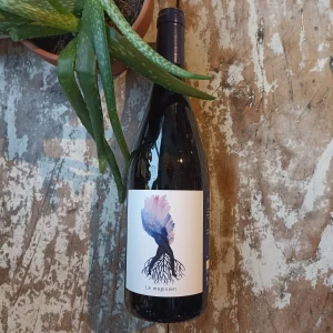 Le Magicien Domaine Les Serrals Languedoc proposé chez Gare à la Cave -Bailleul