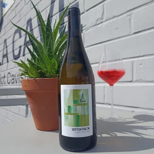 Septentrion Auxerrois 2025 12,5% proposé chez Gare à la Cave - Bailleul