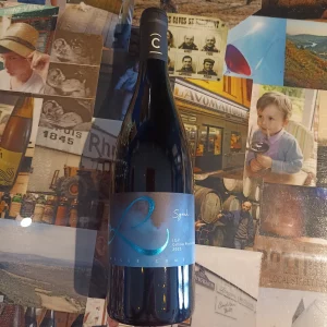 Syrah IGP Domaine Combier proposé par Gare à la Cave Bailleul 59