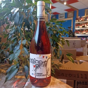 Hybride Déchargeable Château Les Croisille, une originalité dispo chez Gare à la Cave 59