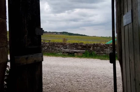 Côte chalonnaise en Bourgogne